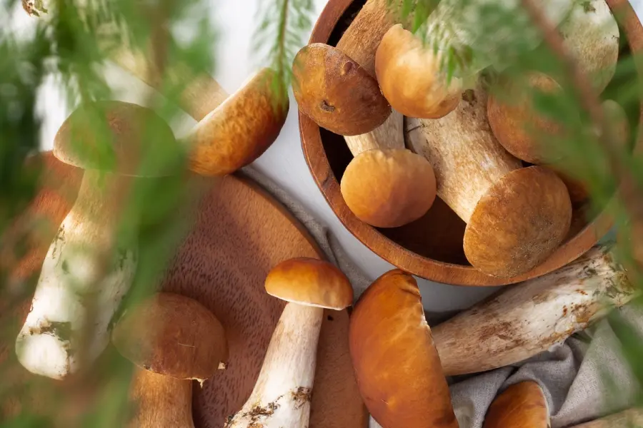 Vitamina D: come produrla e assumerla con i giusti alimenti e comportamenti