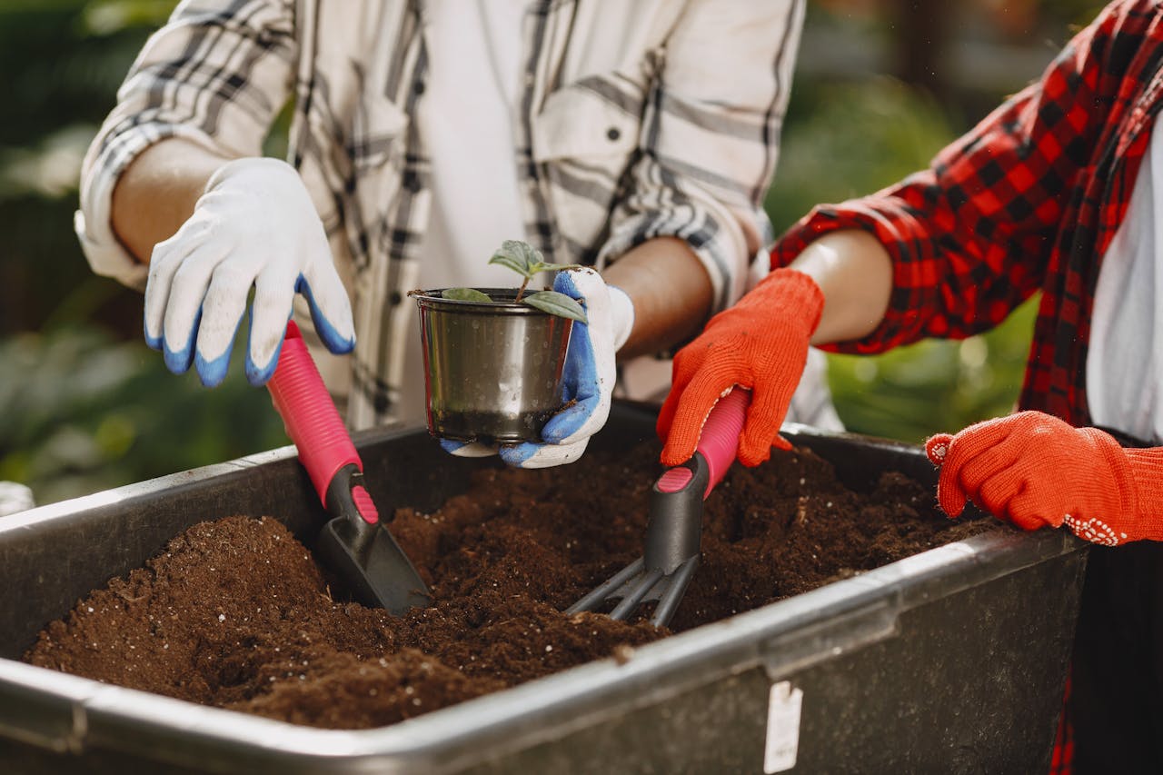 Come creare un piccolo orto in vaso anche senza balcone