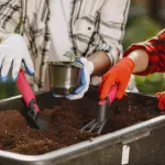 Come creare un piccolo orto in vaso anche senza balcone