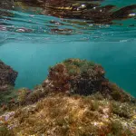 Spiagge di Favignana: guida cala per cala