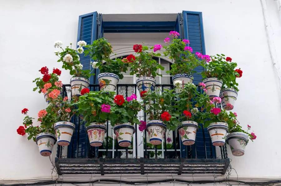 Giardini pensili sulle terrazze: come progettarli