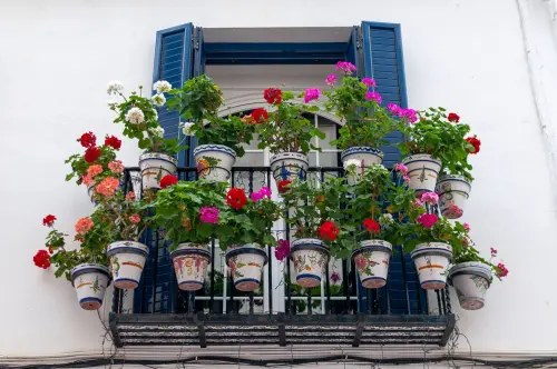 Giardini pensili sulle terrazze: come progettarli