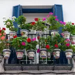 Giardini pensili sulle terrazze: come progettarli